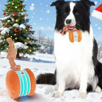 Motion-Activated Interactive Rolling Dog Ball" or simply "Automatic Rolling Dog Ball Toy.